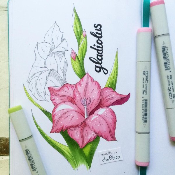 Рисунок цветов фломастерами легко