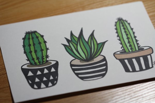 Кактус рисунок маркерами