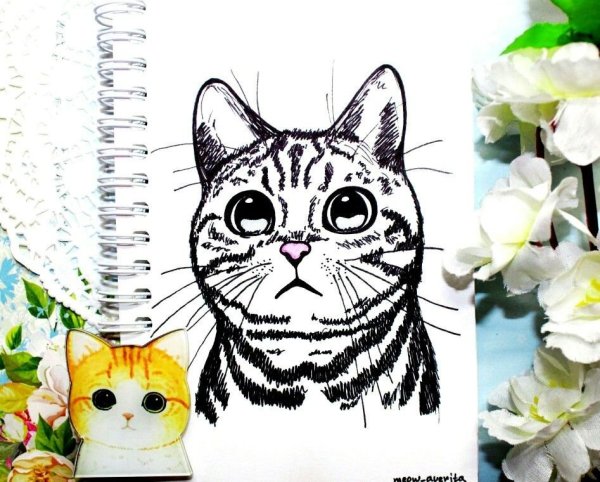 Кошка для скетчбука