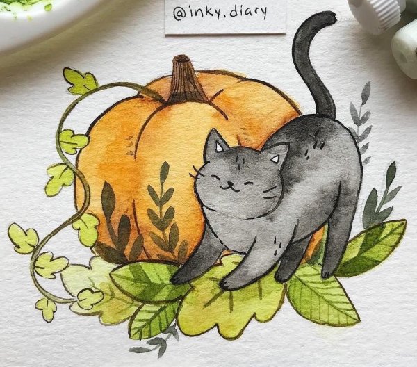 Рисунки в тетради