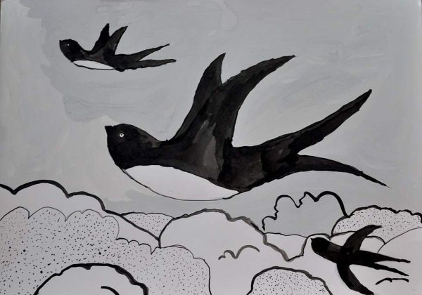 Белая и черная гуашь