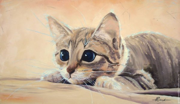 Котик гуашью