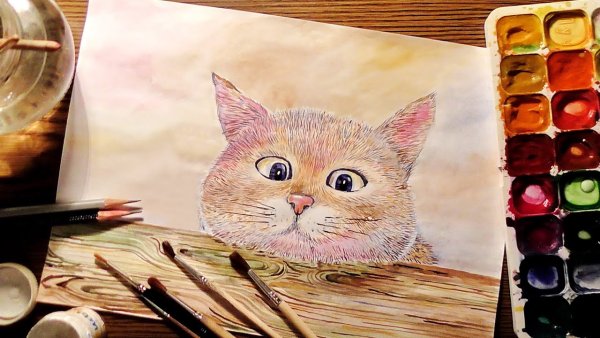 Котик рисунок