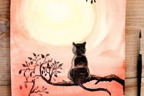 Рисование для начинающих красками кот