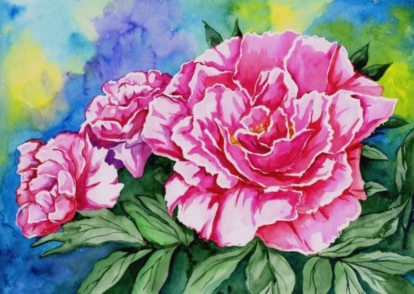 Уроки рисования пионы