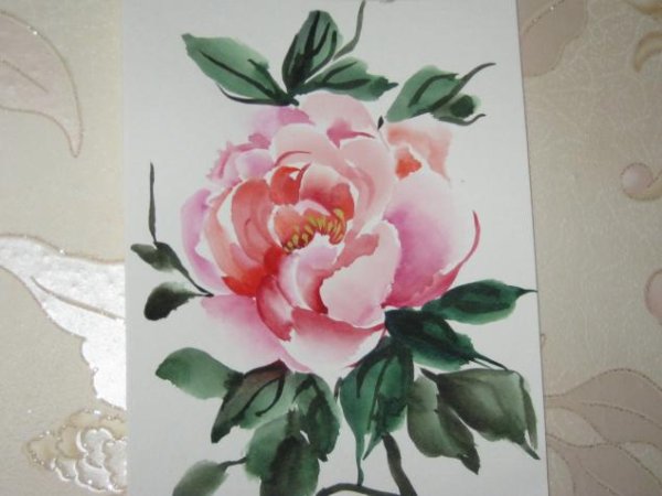 Пионы акварелью легко