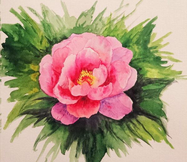 Пионы гуашью