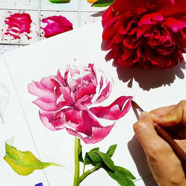 Мастер класс по рисованию цветов