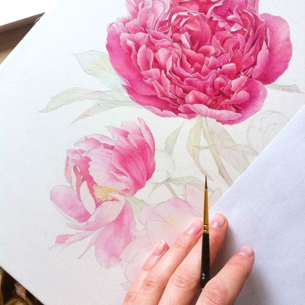 Акварель Тюлькина пионы