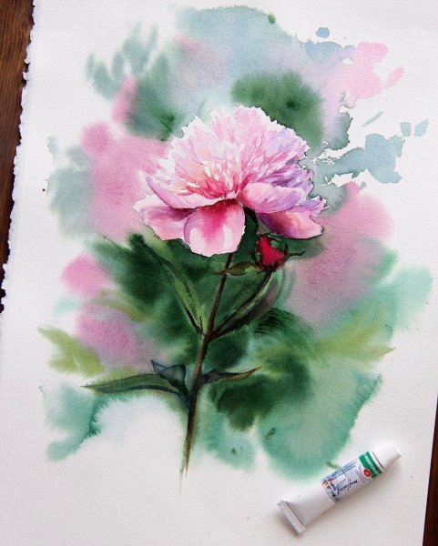 Акварель цветы Анна Катаниан