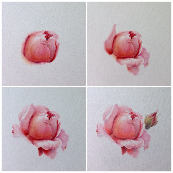 Цветы акварелью пошагово