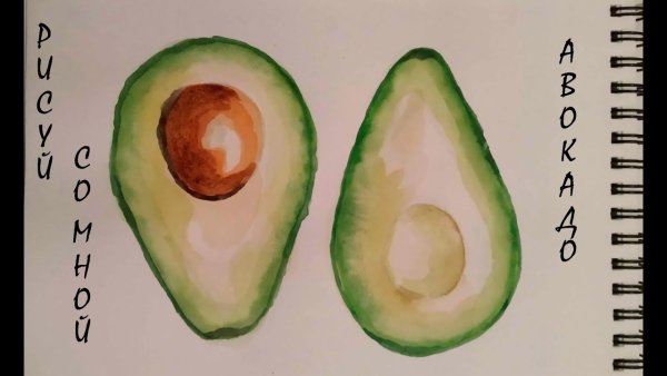 Авокадо скетч