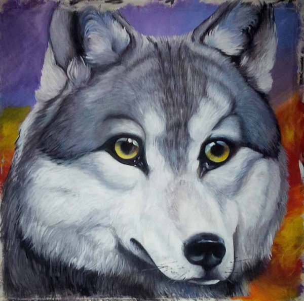 Волк рисунок гуашью