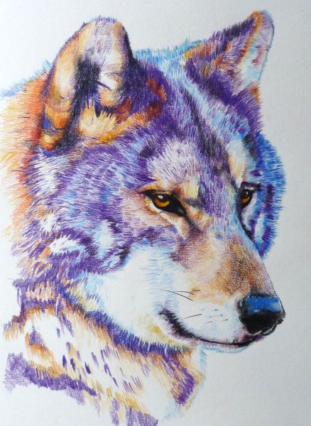 Необычные рисунки гуашью