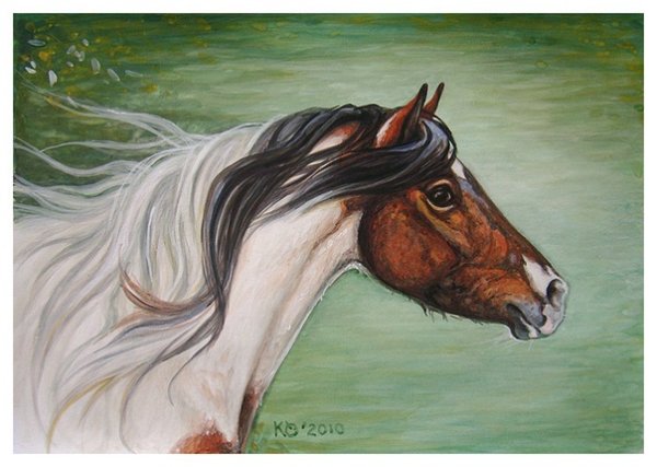 Лошадь для срисовки гуашью