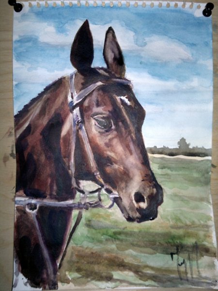 Рисование лошади гуашью
