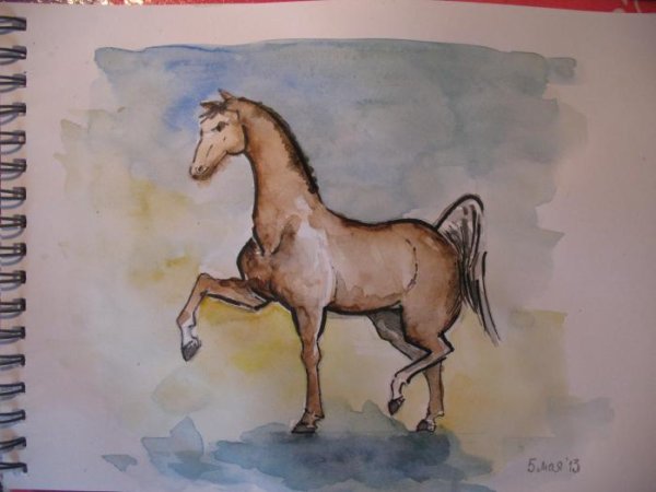 Рисунок лошади красками для начинающих