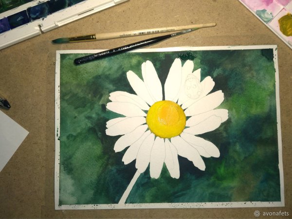 Ромашки красками для начинающих