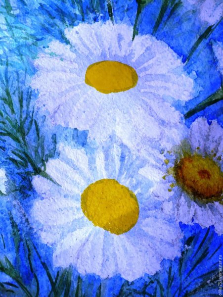 Ромашки гуашью