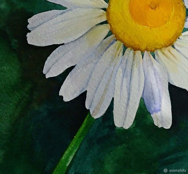 Крупная Ромашка акрилом