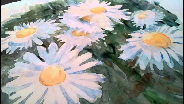 Правополушарное рисование ромашки