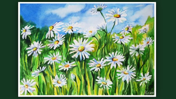 Ромашковое поле акварель