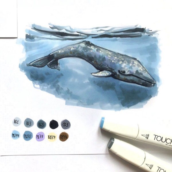 Маркеры Touch как рисуются