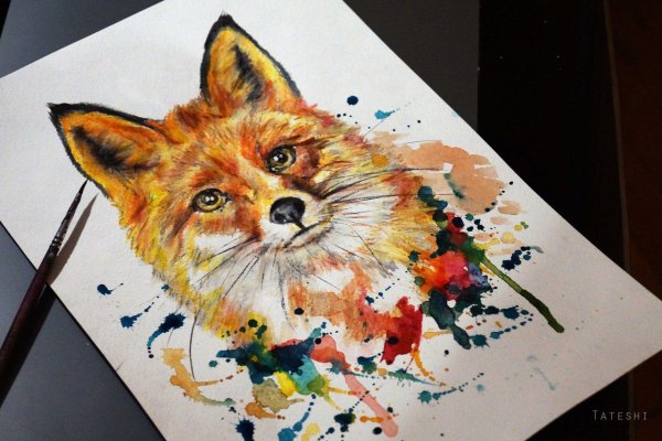 Лиса акварелью