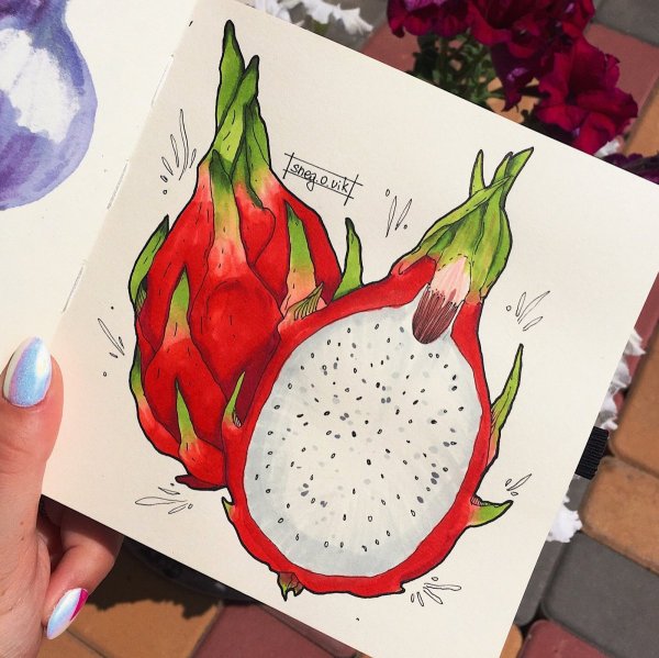 Рисунки для скетчбука лёгкие маркирами