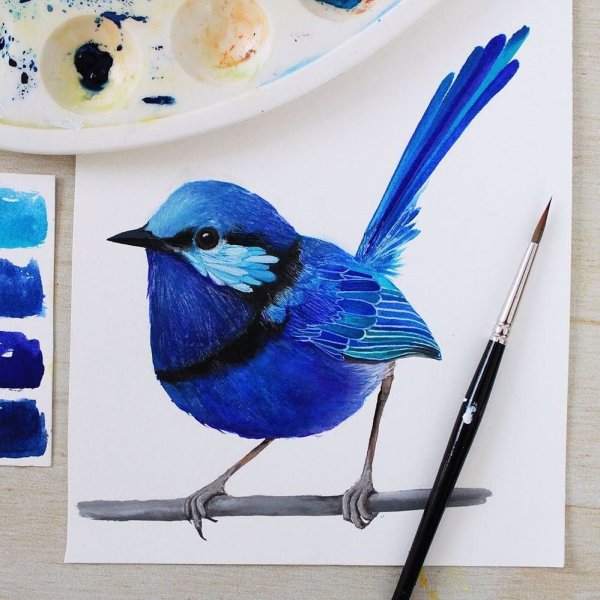 Рисование красивой птицы