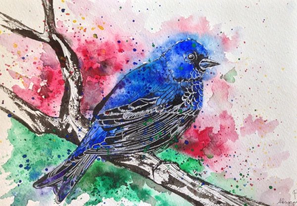 Птички для рисования