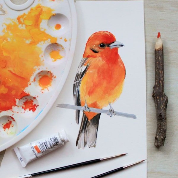 Нарисовать птицу красками