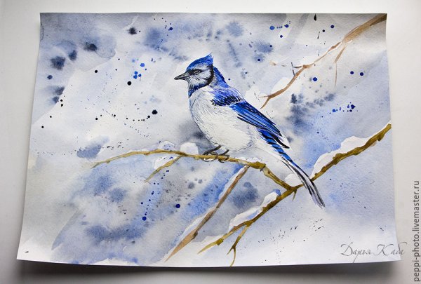 Рисование акварелью птицы
