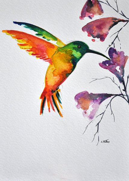 Колибри акварельными красками