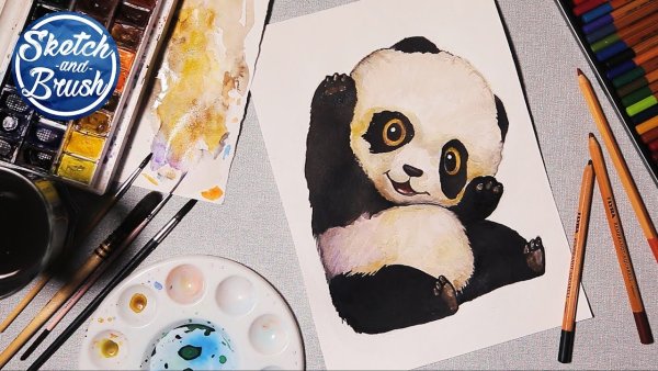 Панда красками для начинающих