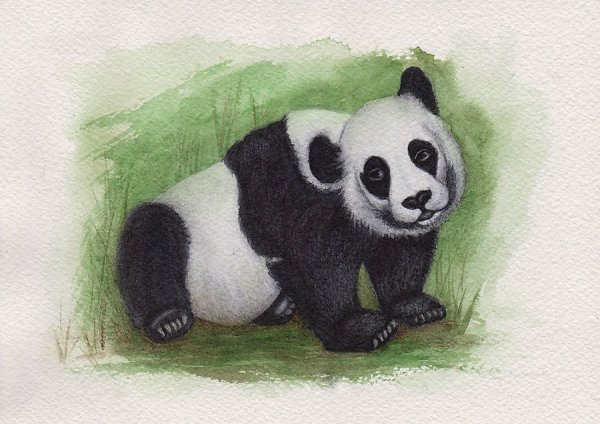 Декоративный рисунок панды
