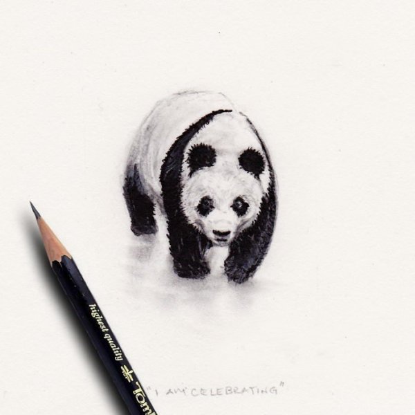 Панда рисунок ручкой