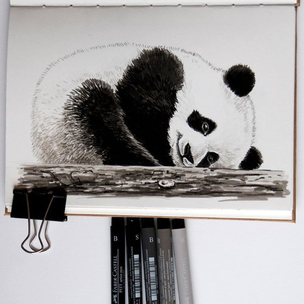 Идеи для рисования панды