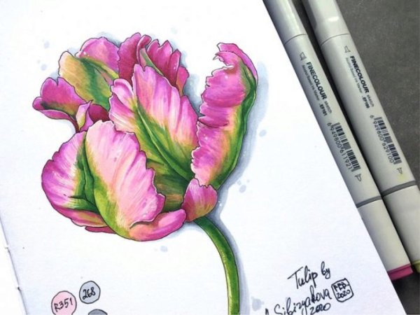 Скетчи спиртовыми маркерами