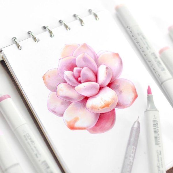 Рисунки акварельными маркерами