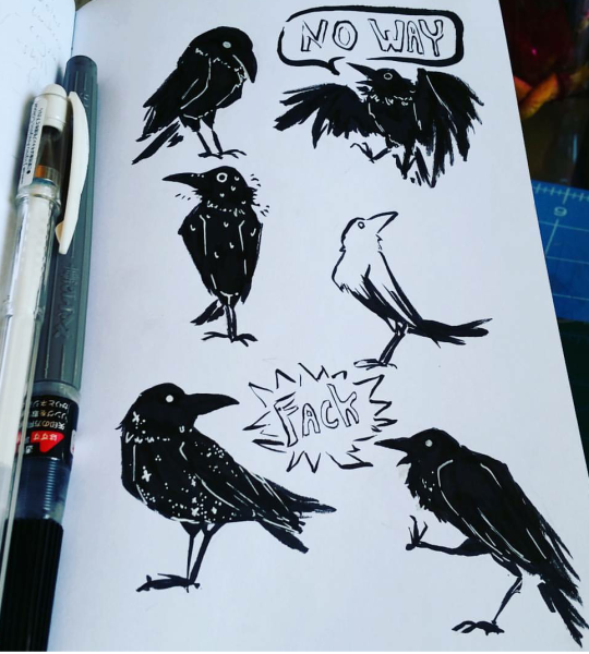 Птица черной ручкой