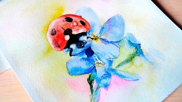 Рисунки акварелью легкие для начинающих