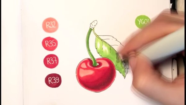 Рисунки спиртовыми маркерами