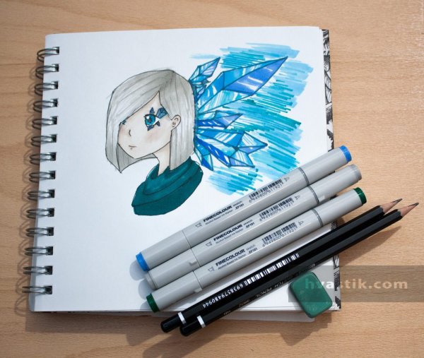 Рисунки спиртовыми маркерами