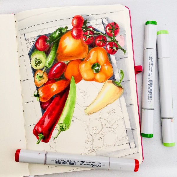 Рисунки спиртовыми маркерами легкие для начинающих