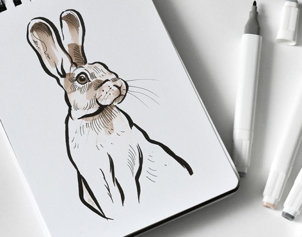 Скетчинг животное