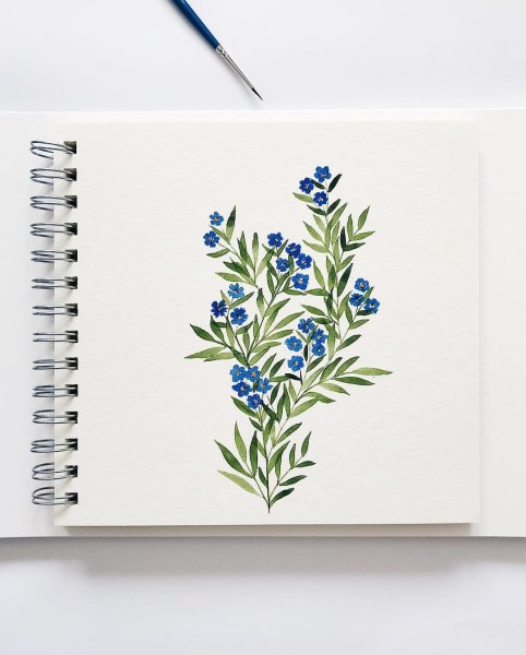 Цветочки в скетчбуке