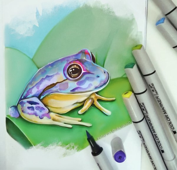 Животные маркерами