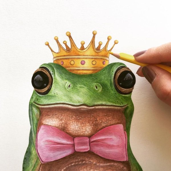 Жаба маркерами