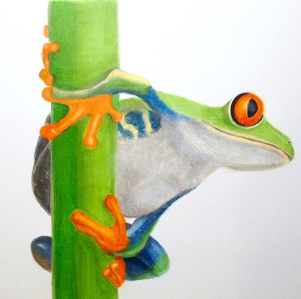 Лягушка рисунок маркерами